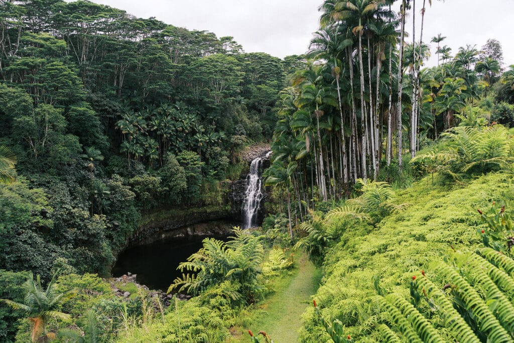 Landscape photo of Kulaniapia Falls, Big Island Hawaii wedding photography location